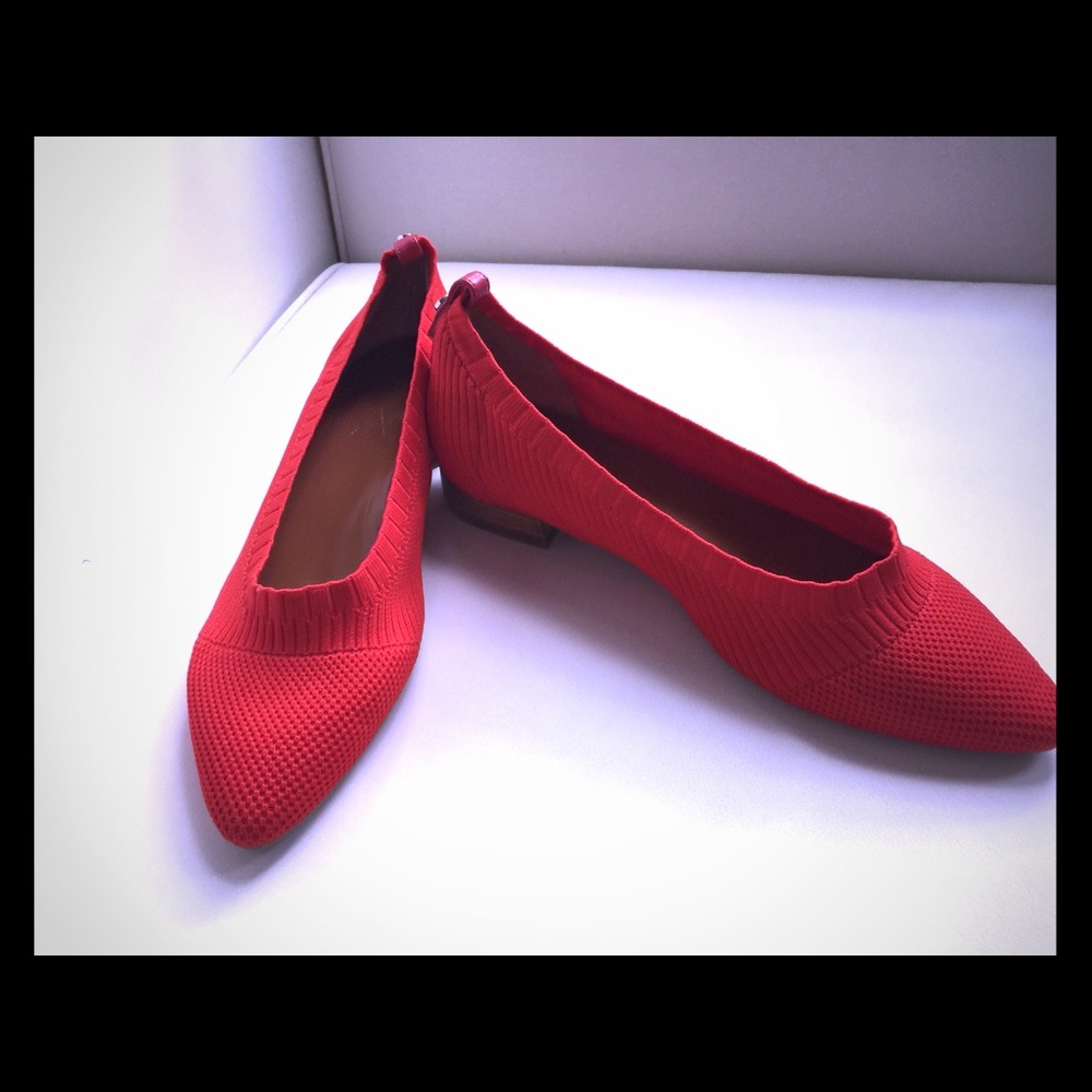 Aquatalia pointy flats